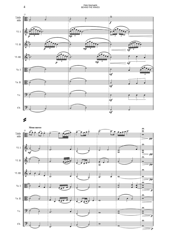 contemporary viola